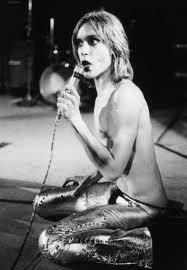Iggy And The Stooges - Raw Power - Book