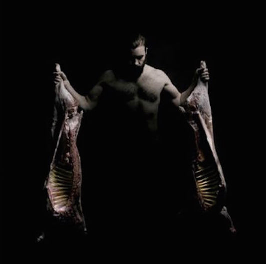 Jooks - Dyr