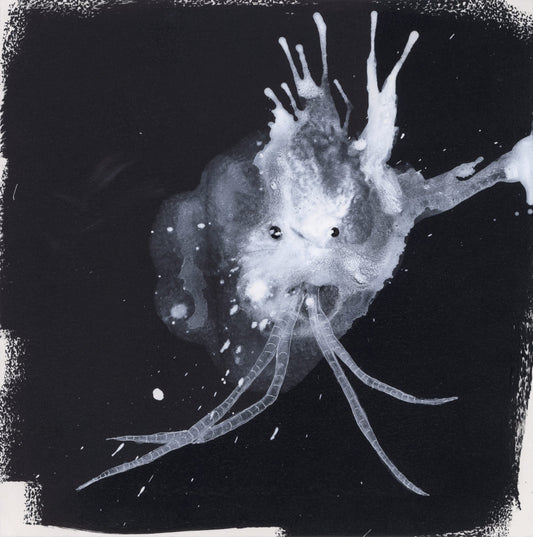 Sigur Rós - Route One