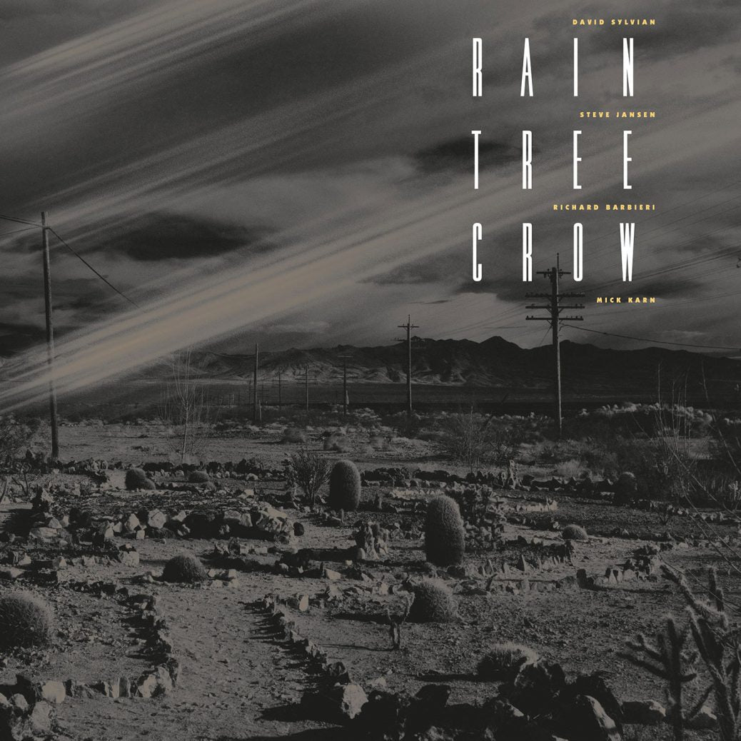 Rain Tree Crow ‎– Rain Tree Crow