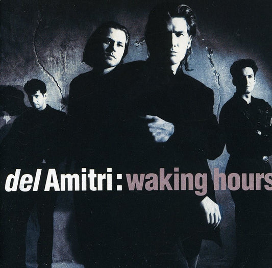 Del Amitri - Waking Hours