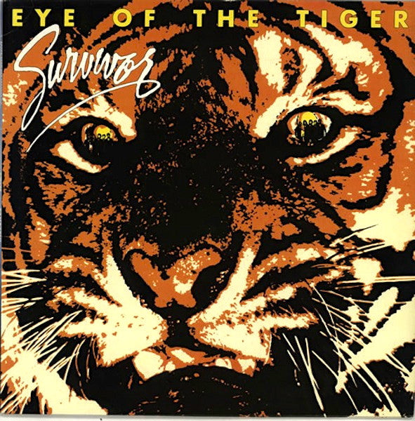 Survivor - Eye Of The Tiger.